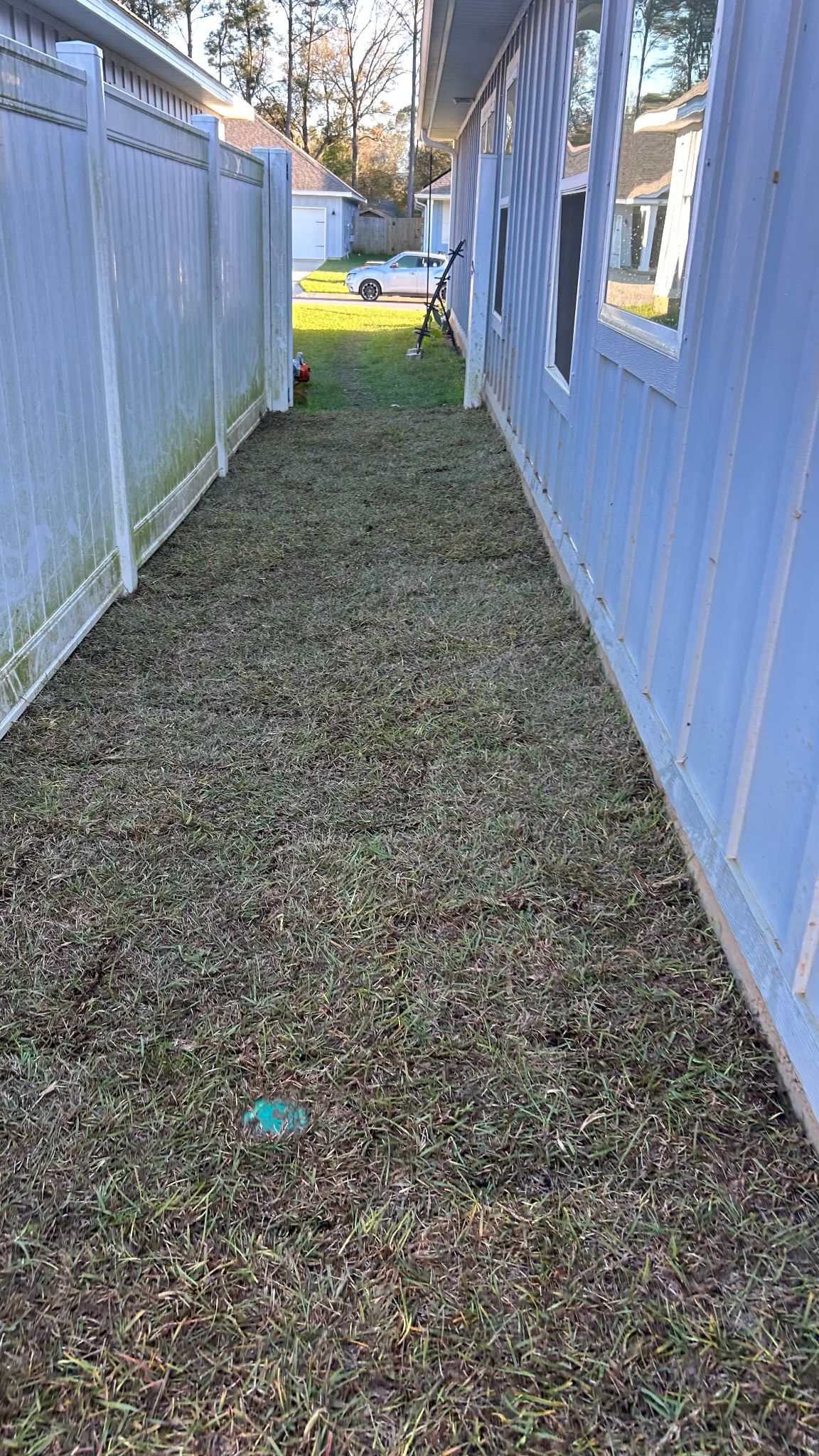 Grass alley beside house renewed by Paradise Restored Lawn Maintenance